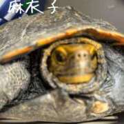 ヒメ日記 2026/09/17 17:31 投稿 麻衣子(まいこ) 高知デリヘル倶楽部 人妻熟女専門店