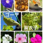ヒメ日記 2026/09/21 16:31 投稿 麻衣子(まいこ) 高知デリヘル倶楽部 人妻熟女専門店