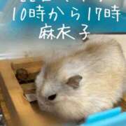 ヒメ日記 2026/10/21 20:45 投稿 麻衣子(まいこ) 高知デリヘル倶楽部 人妻熟女専門店