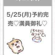 ヒメ日記 2026/05/25 08:06 投稿 まみ★男性経験1人奇跡の原石★ 渋谷S級素人清楚系デリヘル chloe