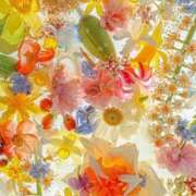 ももな はじめまして? 横浜シンデレラ（シンデレラグループ）