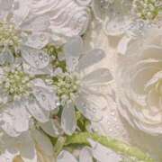 ヒメ日記 2026/04/15 23:14 投稿 ももな 横浜シンデレラ（シンデレラグループ）