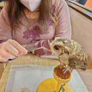 まい ダメです🩷 横浜ひよこ倶楽部