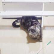 ヒメ日記 2026/07/13 10:46 投稿 まい 横浜ひよこ倶楽部