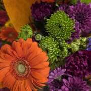 ヒメ日記 2026/04/19 09:00 投稿 魔理亜(まりあ) あなたの妻