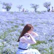 ヒメ日記 2026/04/29 13:52 投稿 りん DCP