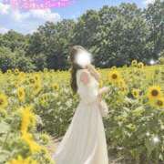 りん 🌸30日🈵枠🌸 DCP