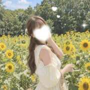 りん 出勤day🐹♡ 京都デリヘル倶楽部