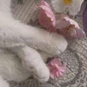 ひめ 🌷明日🌷 ロード