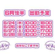 ヒメ日記 2026/06/21 10:44 投稿 るり ロード