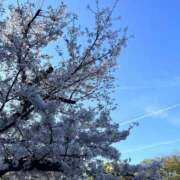 ヒメ日記 2026/04/15 18:52 投稿 あい CECIL