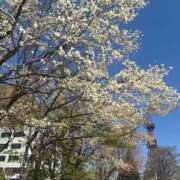 ヒメ日記 2026/04/27 12:43 投稿 そよ ソープランド AQUA（アクア）