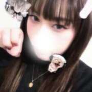 ヒメ日記 2026/04/17 11:54 投稿 リサ【究極のハーフバニー美女】 ドMなバニーちゃん和歌山店