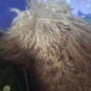 ヒメ日記 2026/04/21 17:36 投稿 ひろ 素人人妻オフィス東金店