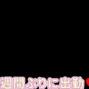 ヒメ日記 2026/06/17 23:26 投稿 絵里 昼顔妻 五反田店