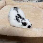 ヒメ日記 2026/05/06 23:04 投稿 ひめの ○コキクリニック～○○クリニックシリーズ～