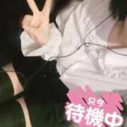 ヒメ日記 2026/05/13 12:16 投稿 じゅえる イクイクサークル鶯谷店