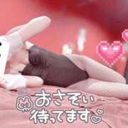 メアリ【未経験えっち大好き無限の可能性】 まったりしています🐰✨️ ドMなバニーちゃん和歌山店