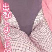 ヒメ日記 2026/05/16 15:04 投稿 メアリ【未経験えっち大好き無限の可能性】 ドMなバニーちゃん和歌山店