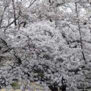 ヒメ日記 2026/04/18 06:22 投稿 森永さや 大人のエッチなエステ新橋店