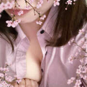 ヒメ日記 2026/05/15 17:55 投稿 まゆ 桜フェアリーテイル
