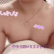 ヒメ日記 2026/04/18 19:59 投稿 つくも サティアンまーと