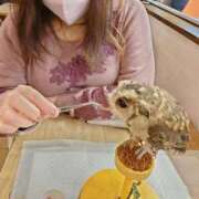 ヒメ日記 2026/04/20 12:26 投稿 まい Lolipop 横浜