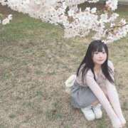 ヒメ日記 2026/04/21 12:04 投稿 みやび 埼玉ちゅっぱ川越店