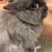 ヒメ日記 2026/04/22 22:04 投稿 ねね 東京リップ 上野店