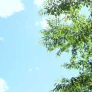 ヒメ日記 2026/04/19 20:02 投稿 ねね 東京リップ 秋葉原店