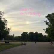 ヒメ日記 2026/06/12 17:57 投稿 ゆず しろうとCollection