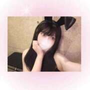 ヒメ日記 2026/06/05 01:30 投稿 リオン いたずらバニーちゃん