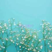 【新人】けい ありがとう♡S様 神奈川小田原ちゃんこ