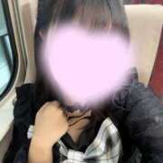 みるく 出勤予定🪿 ぷるるん小町梅田店