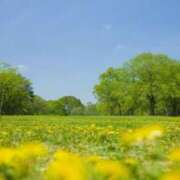 ヒメ日記 2026/04/20 05:31 投稿 はるひ 清楚系美女専門店PLATINUMプラチナム四日市店