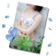 ヒメ日記 2026/05/10 01:45 投稿 はるひ 清楚系美女専門店PLATINUMプラチナム四日市店