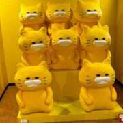 ヒメ日記 2026/06/13 15:53 投稿 高田みえ おもてなし妻