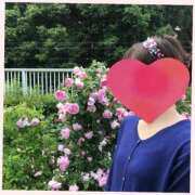 ヒメ日記 2026/06/22 06:30 投稿 高田みえ おもてなし妻