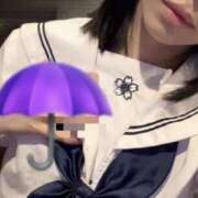 つばき ☂️😢 2980円