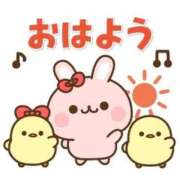 ヒメ日記 2026/05/13 12:41 投稿 えみこ いわき小名浜ちゃんこ