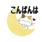 ヒメ日記 2026/05/13 19:33 投稿 えみこ いわき小名浜ちゃんこ