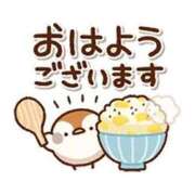 ヒメ日記 2026/05/15 11:50 投稿 えみこ いわき小名浜ちゃんこ