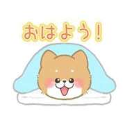 ヒメ日記 2026/05/16 08:13 投稿 えみこ いわき小名浜ちゃんこ
