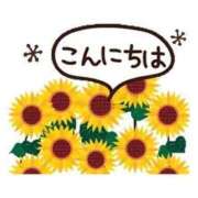 ヒメ日記 2026/06/22 11:13 投稿 えみこ いわき小名浜ちゃんこ