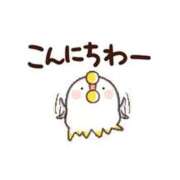 ヒメ日記 2026/06/23 17:13 投稿 えみこ いわき小名浜ちゃんこ