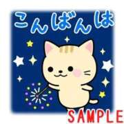 ヒメ日記 2026/06/23 20:25 投稿 えみこ いわき小名浜ちゃんこ