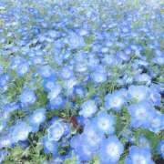 マイ 初めまして🩵 ドMなバニーちゃん大宮店