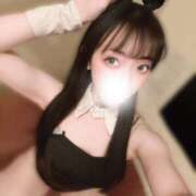 ヒメ日記 2026/05/14 10:54 投稿 すもも 恋するバニー
