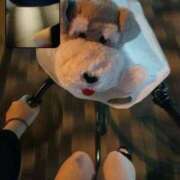 ヒメ日記 2026/04/16 03:25 投稿 める ぷるるん小町 京橋店