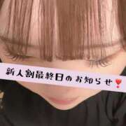 ヒメ日記 2026/06/13 04:30 投稿 める ぷるるん小町 京橋店